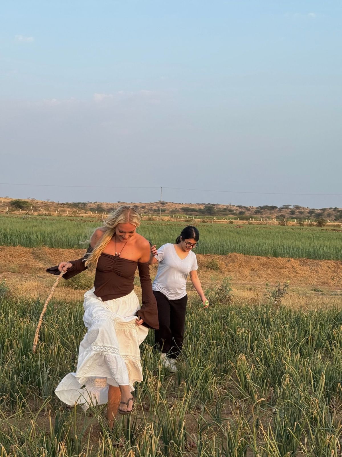 Two guests walking through the onion field in evening light