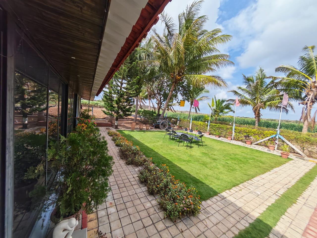 Lawn veranda palms