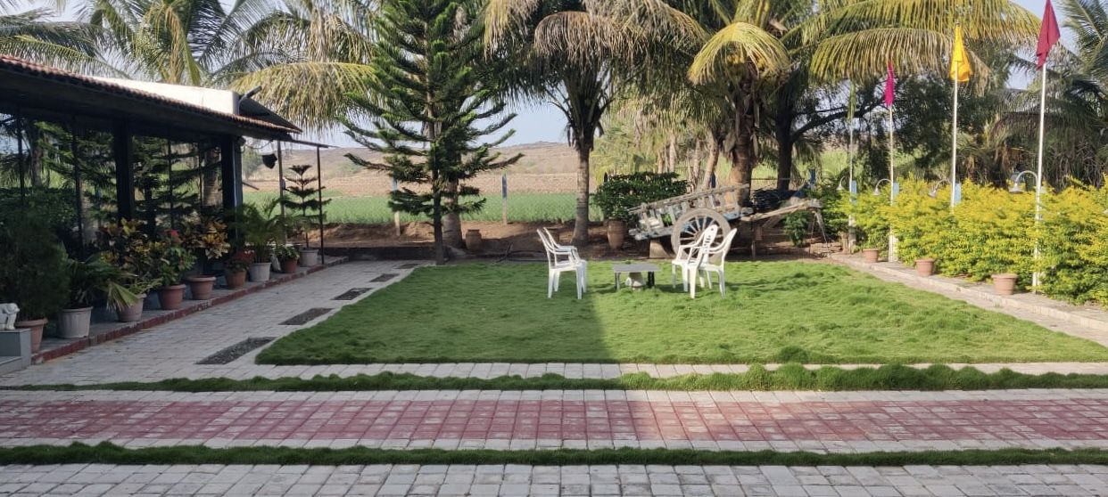The lawn and the old bullock cart