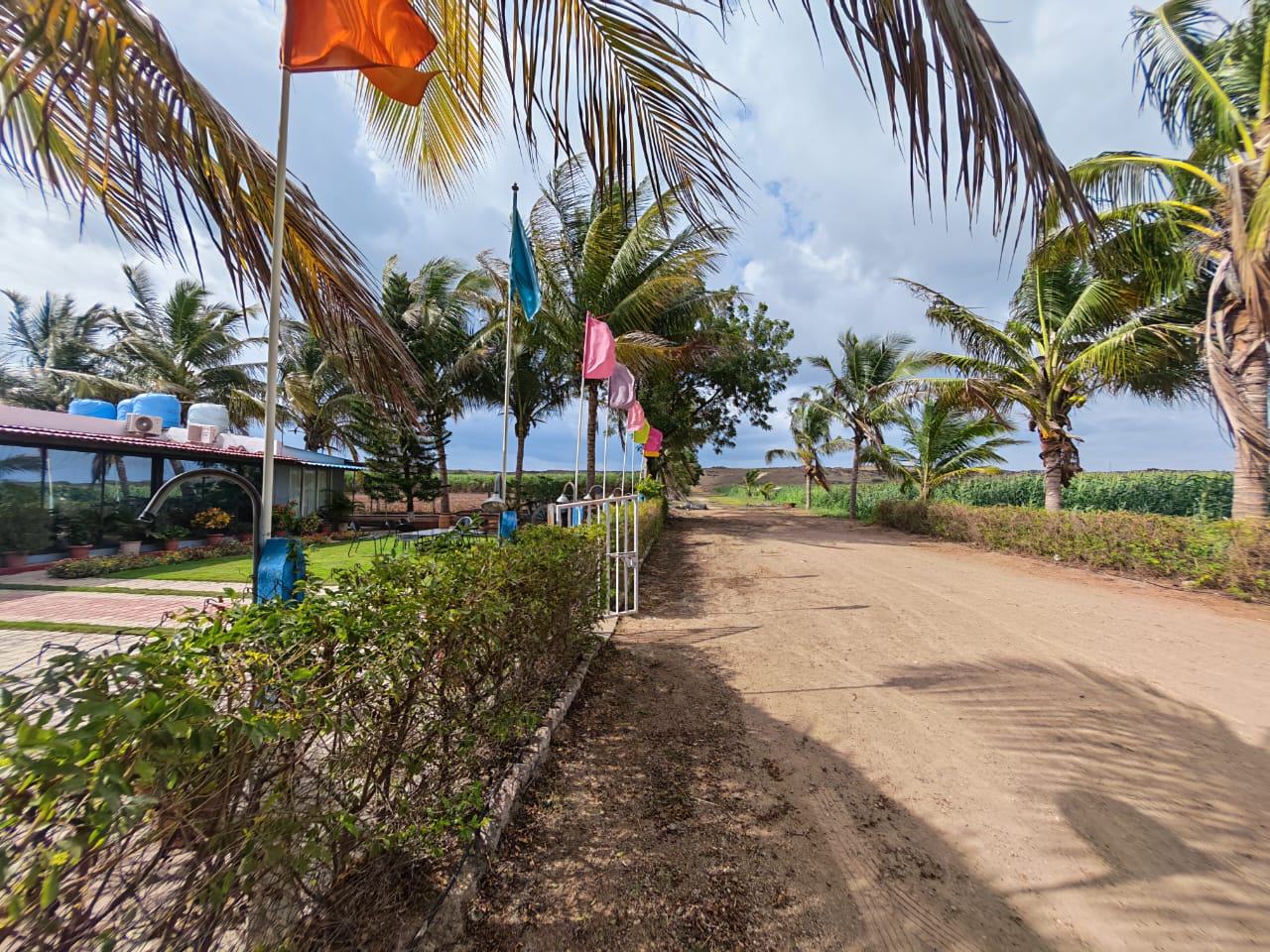 Farm lane flags