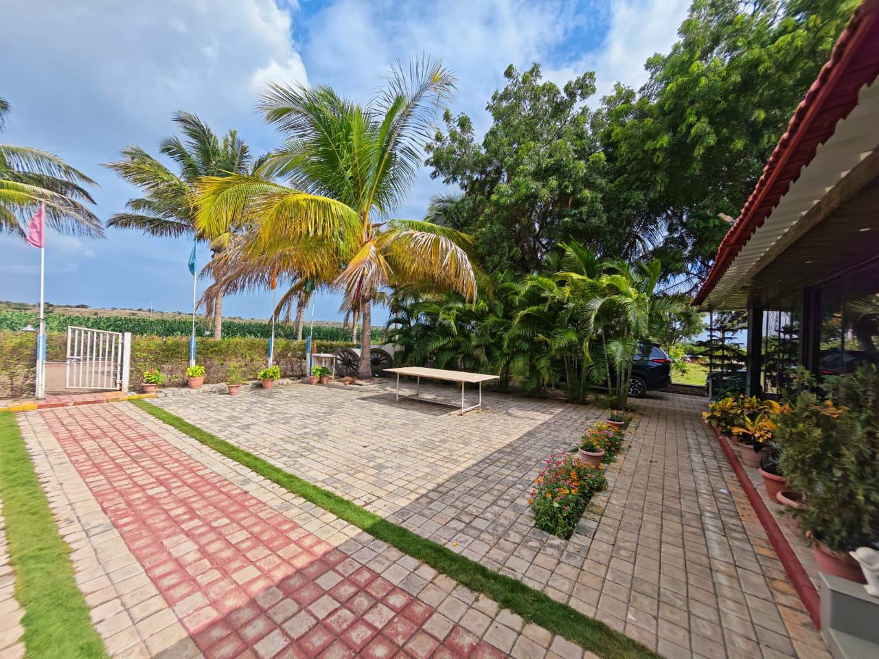 Courtyard palms gate