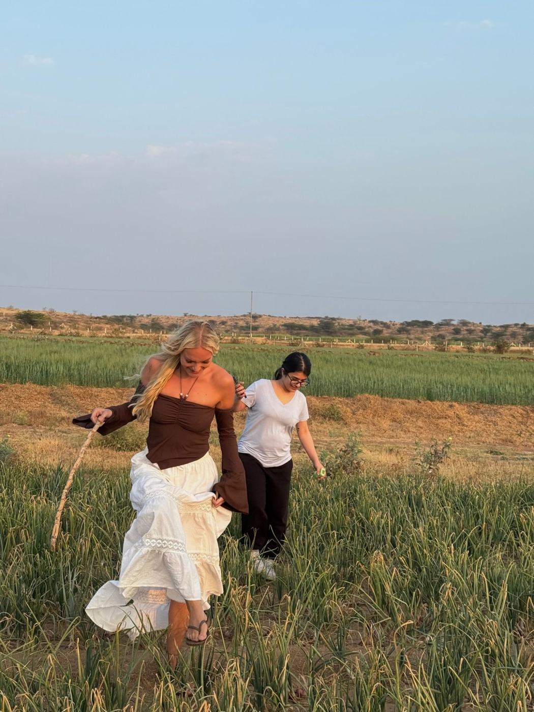 Walking through the onion field