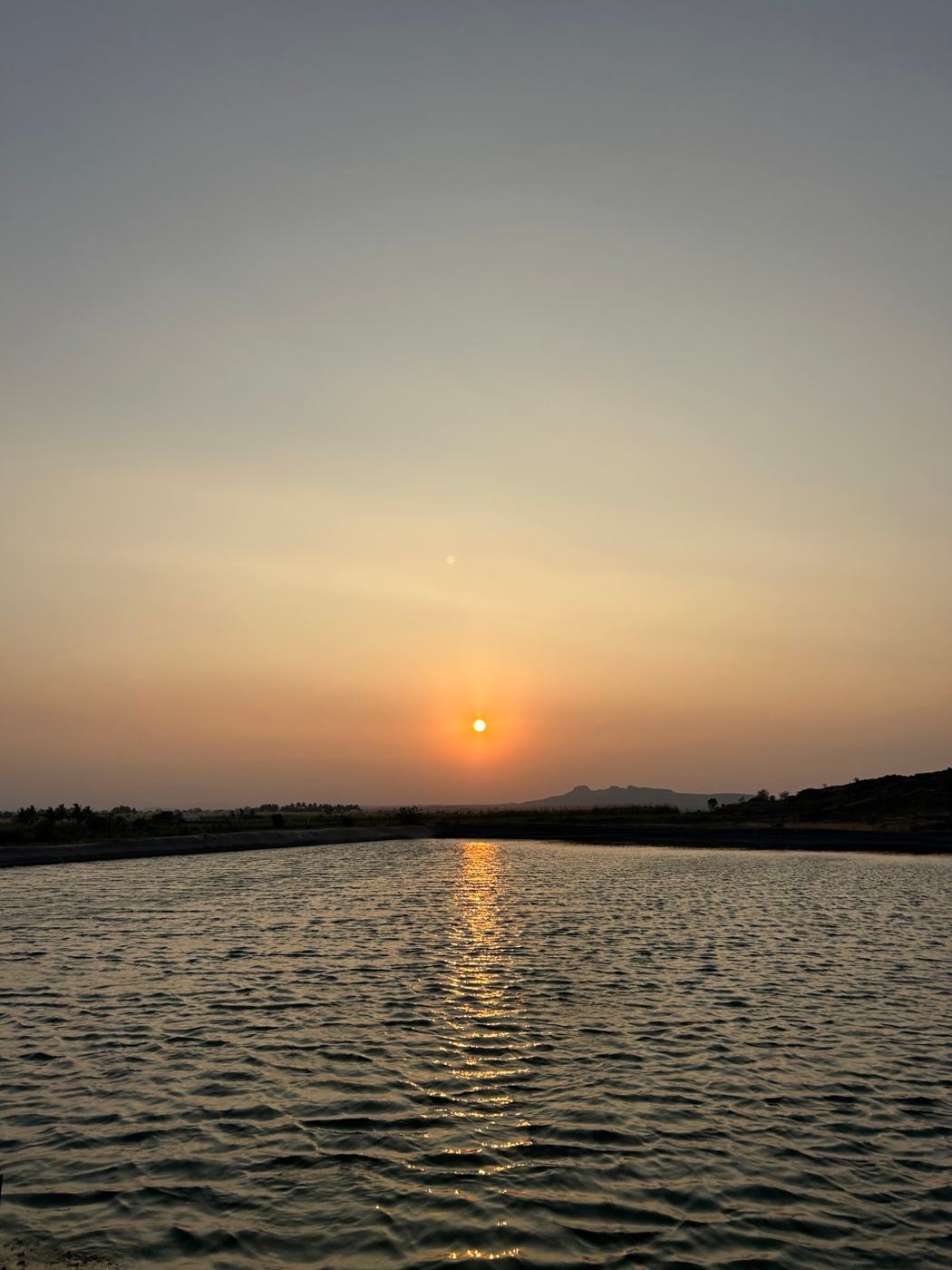 Pond sunset