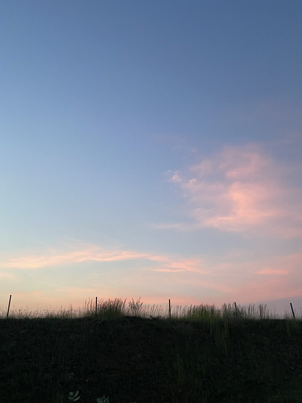 Pink sky portrait