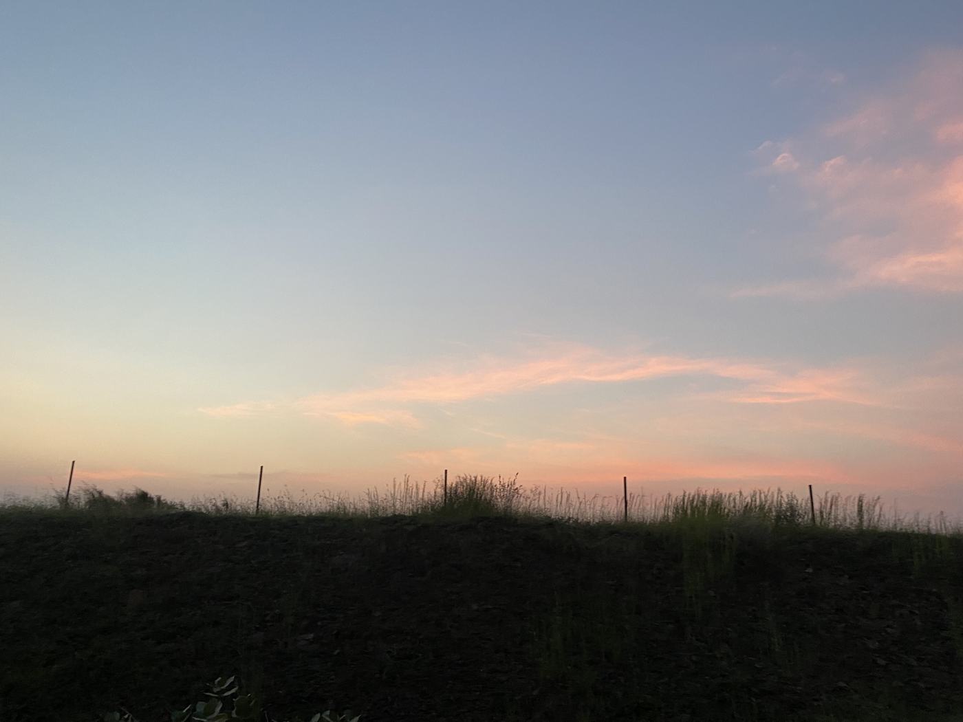 Pink sky