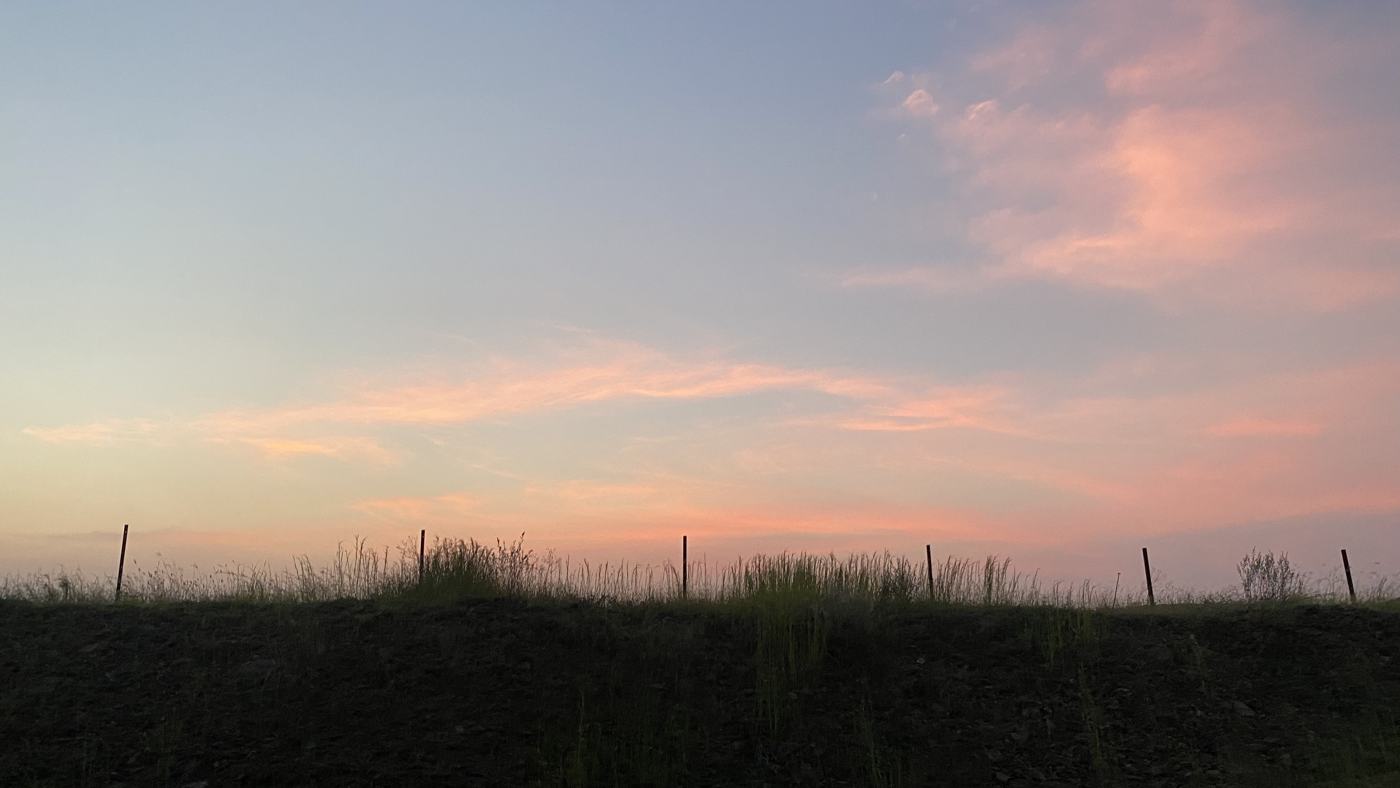 Pink sky