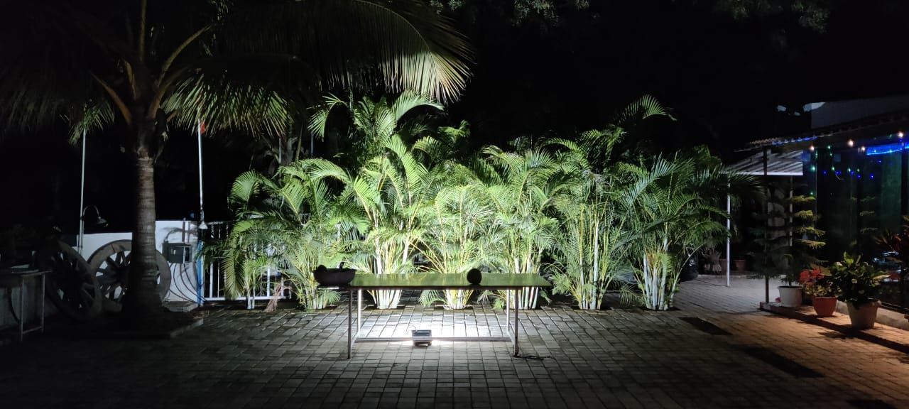 The garden lit at night