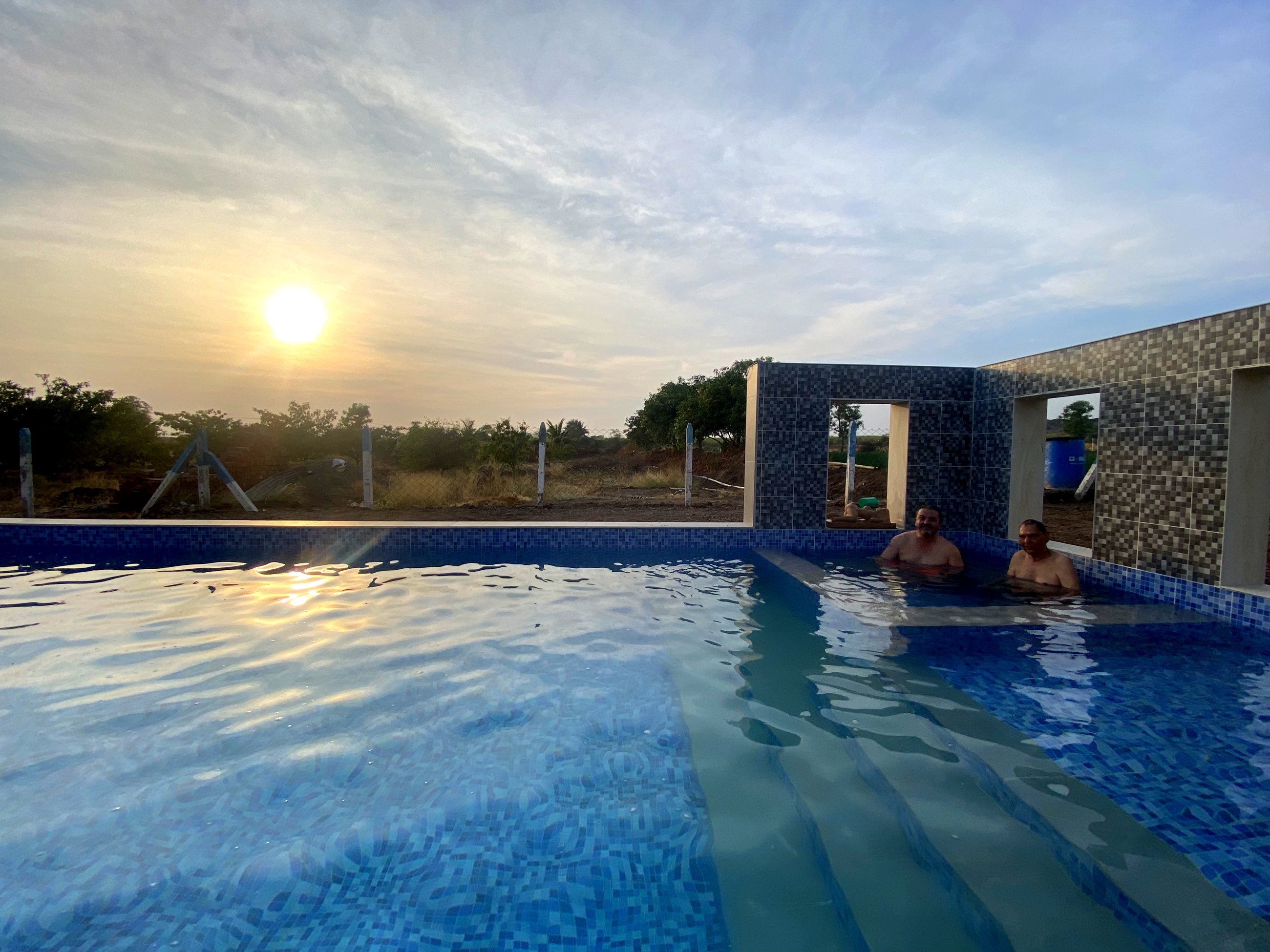 The swimming pool at sunset, with the orchard behind it
