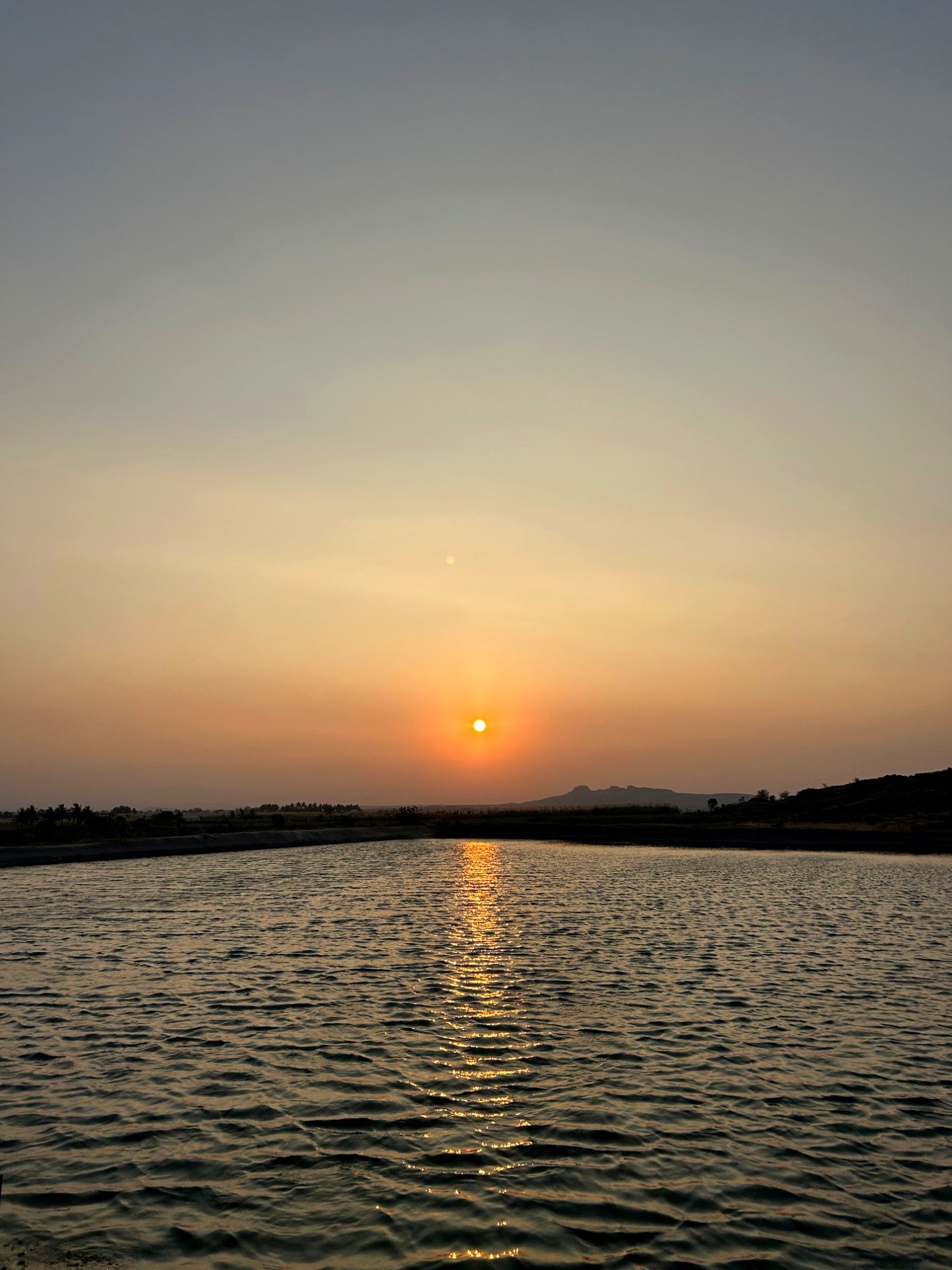The sun setting over the farm pond