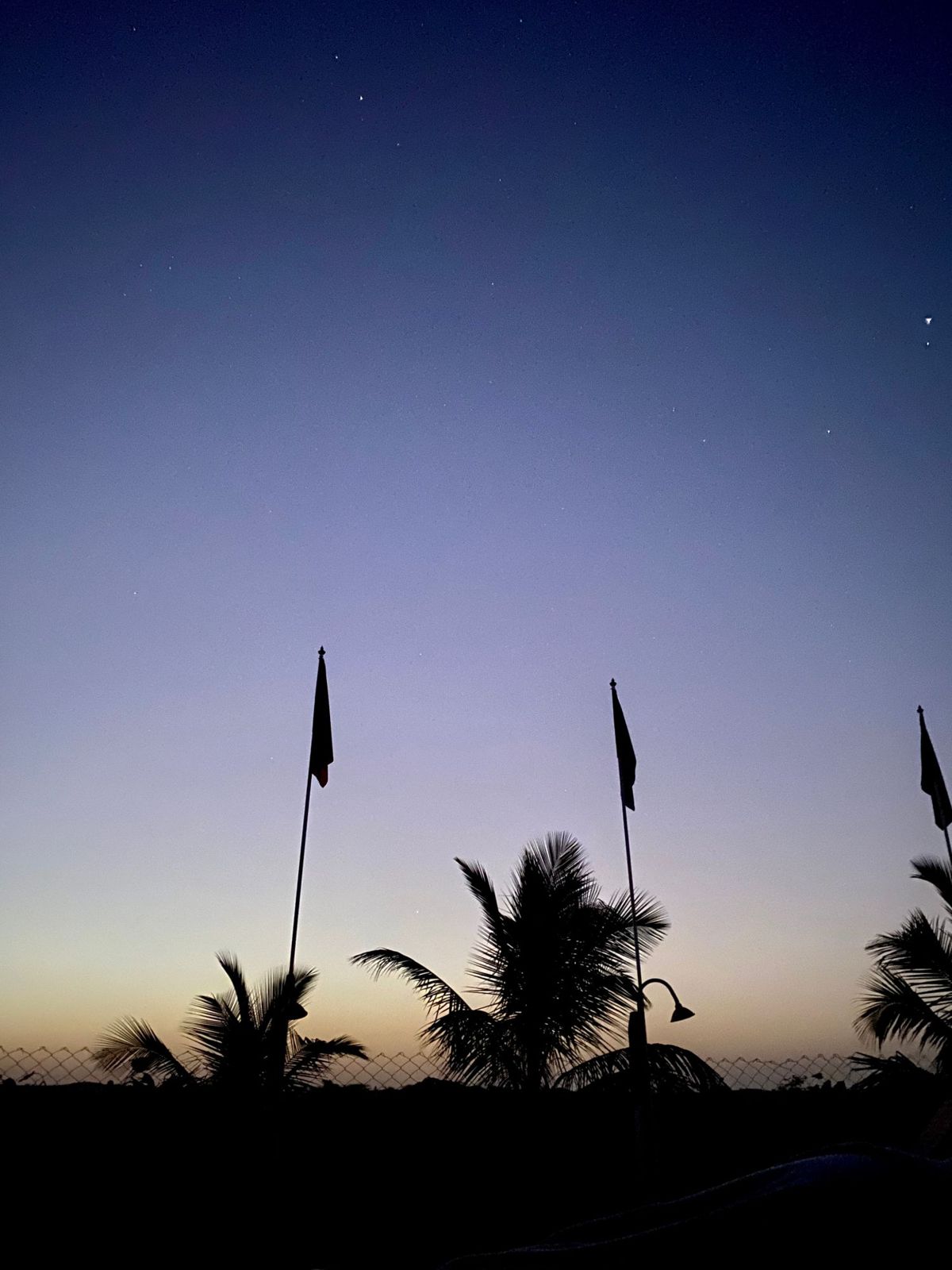 The first stars above the silhouettes of palms and flags at dusk