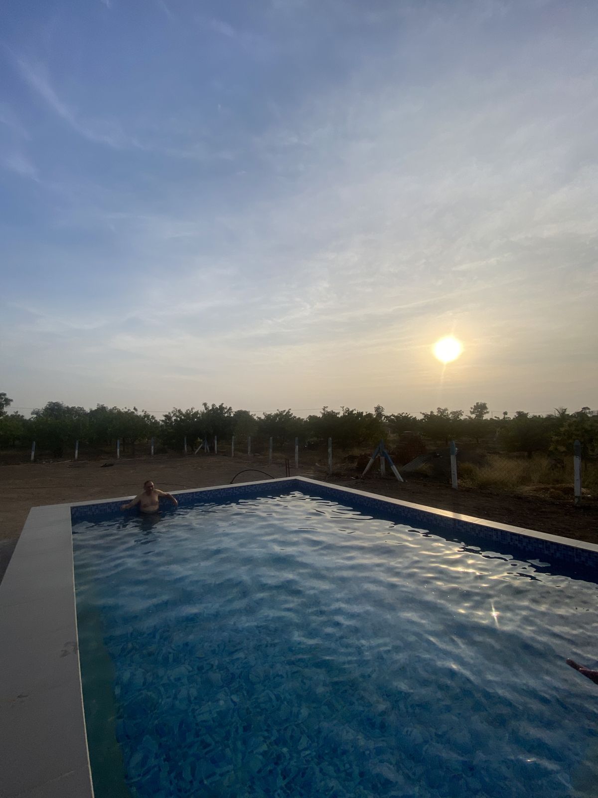 A swimmer in the pool as the sun goes down behind the orchard